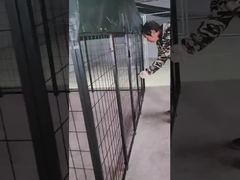 6 pies de altura soldado acero perrera perrera perrera en polvo cubierto perrito casa de correr