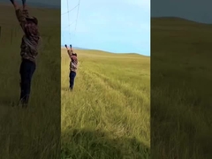 Panel de cerca de ganado galvanizado por inmersión en caliente de 8 pies de altura de malla de alambre de venado de nodo fijo