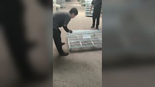 Jaulas de almacenamiento de malla de alambre plegables de alta resistencia para almacenes