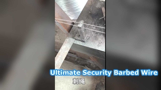 Valla de seguridad galvanizada de alambre de púas de 25 kg