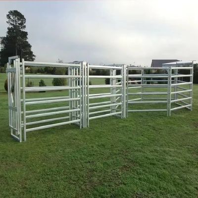10' Height Adjustable Cattle Fence Panel Galvanized Cattle Loading Ramp With Sliding Gates