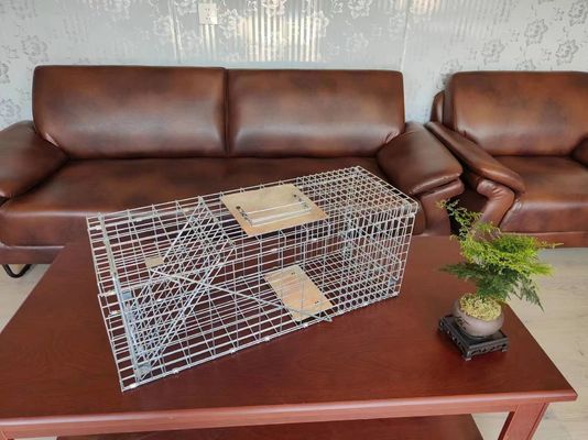 24x7x8'' Folded Live Cat Trap Cage Humane Large Live Animal Cage