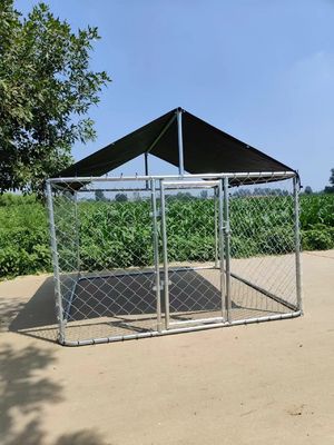 Chain Link Steel Dog Kennel 1.5M Height Galvanized Big Size Case For Animal