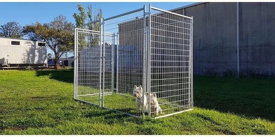 Hot Dipped Galvanized Dog Kennels 6FT Chain Link Dog Kennel Outdoor Run Cage