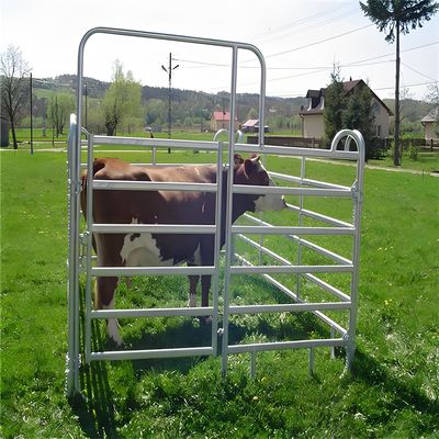 2.4M American Livestock Cattle Corral Fencing Round Pipe Style Cattle Fencing Panel