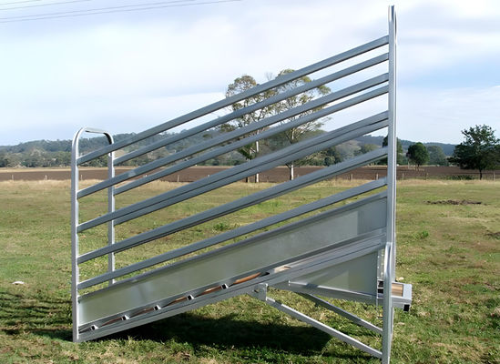 3.2M Hot Dipped Galvanized Cattle Fencing Loading Ramp Adjustable Livestock Fencing Panels