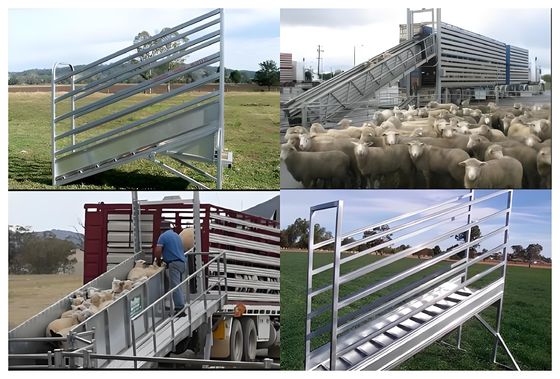 3.2M Hot Dipped Galvanized Cattle Fencing Loading Ramp Adjustable Livestock Fencing Panels
