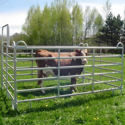 12foot Galvanized Welded Yard Fence Panel Livestock Horse Farm Fencing