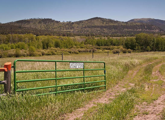 V Stay Galvanized Cattle Fencing Heavy Duty Farm Cattle Gates For Australia Market