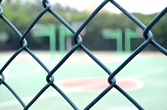 5MM Powder Coated Security Fencing Blue Roll Chain Link Diamond Mesh Fencing Net