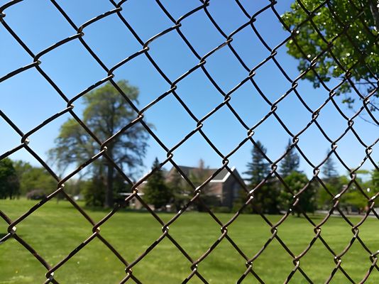 8 Guage Galvanized Chain Link Fence  Diamond Fence For Playground