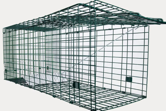 50cm Galvanized Large Cat Trap Cage Catch And Release Humane Animal Cage Trap