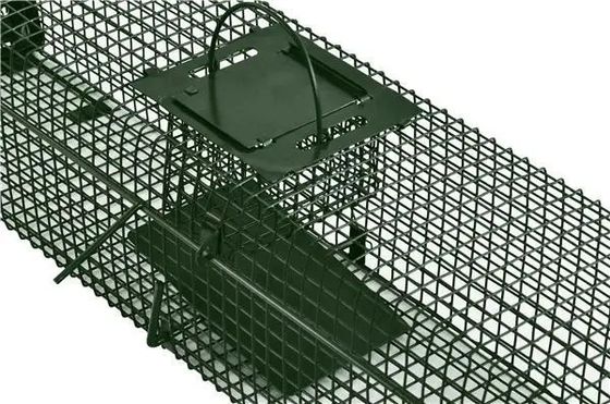 50cm Galvanized Large Cat Trap Cage Catch And Release Humane Animal Cage Trap