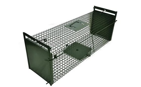 50cm Galvanized Large Cat Trap Cage Catch And Release Humane Animal Cage Trap