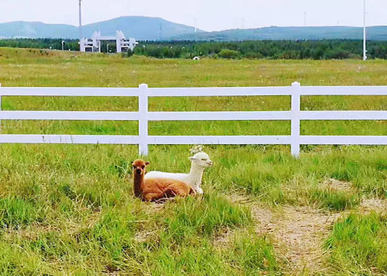 2 Rail Horse Pasture Fence Horticulture Anti Corrosion Vinyl Ranch Rail Fence