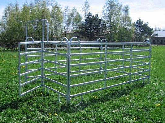 10FT Heavy Duty Portable Cattle Yard Panel Fence Livestock Panels