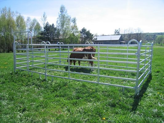 10FT Heavy Duty Portable Cattle Yard Panel Fence Livestock Panels