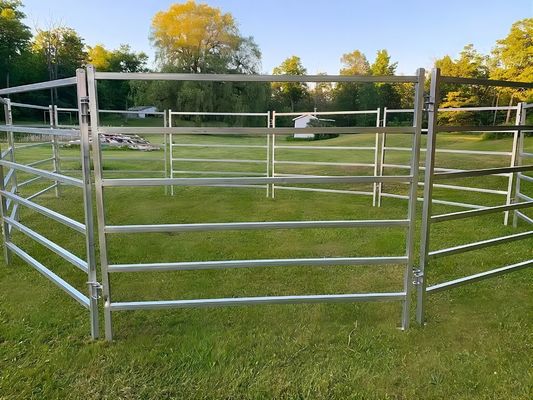 10FT Heavy Duty Portable Cattle Yard Panel Fence Livestock Panels