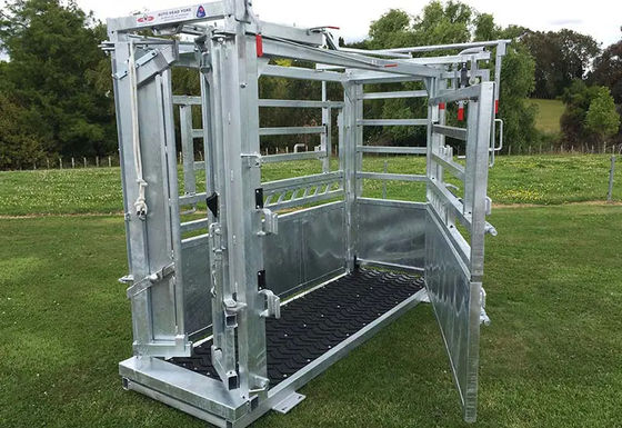 Hot Dipped Galvanized Cattle Head Bale 40x80mm Oval Rail Heavy Duty Cattle Crush Equipment