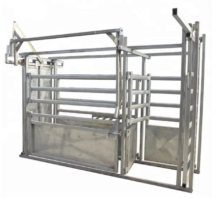 Hot Dipped Galvanized Cattle Head Bale 40x80mm Oval Rail Heavy Duty Cattle Crush Equipment