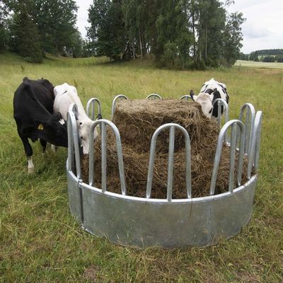 Galvanized Feeder With Tombstone Railings For Cattle 12 Feed Openings