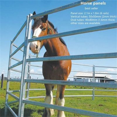6 Foot Farm Cattle Crush Fence Cattle Handling Metal Animal Livestock Fence Panels