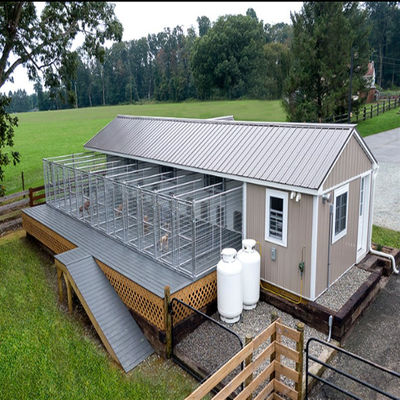 1.5x2M Easy To Install Galvanized Outdoor Dog Kennel Metal Dog Cage
