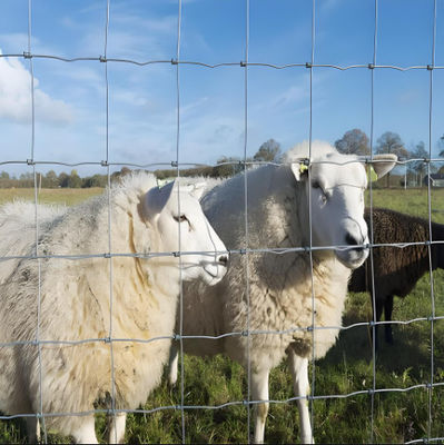Hot Dipped Galvanized Cattle Fence Roll High Tensile Line Wire Cattle Mesh