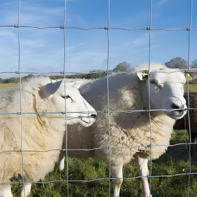 6FT High Prevent Sheep Escapes Heavy Duty Galvanized Cattle Mesh Fence