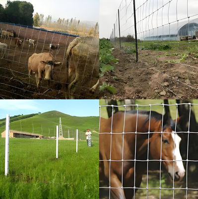 100M Lenght Galvanized Livestock Mesh Grassland Farm Fence