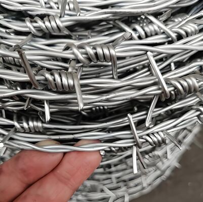 Electric Galvanized Barbed Wire 500m Roll with 12-16 Gauge for High Security Fencing