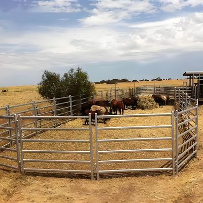 12foot Galvanized Welded Yard Fence Panel Livestock Horse Farm Fencing