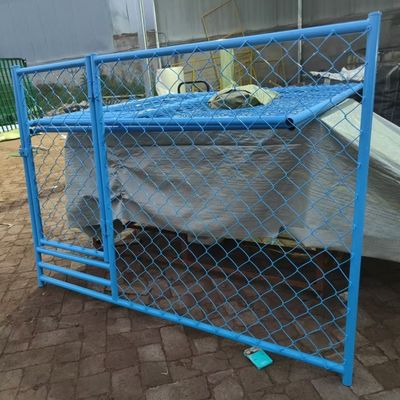 Blue Color Luxury Building Steel Dog Kennel Run Commercial Boarding