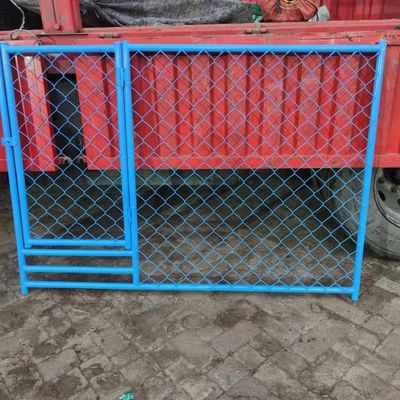 Blue Color Luxury Building Steel Dog Kennel Run Commercial Boarding
