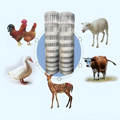 Valla ganadera galvanizada de alta resistencia de 2,0 mm para cercas de jardín de vegetales, tratamiento de la superficie de la red