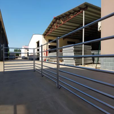 Medium-Duty Heat Treated Galvanized 6-Foot Livestock Farm Fence Panel