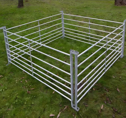 10 pies de tubo galvanizado panel de cerca de granja de ganado portátil